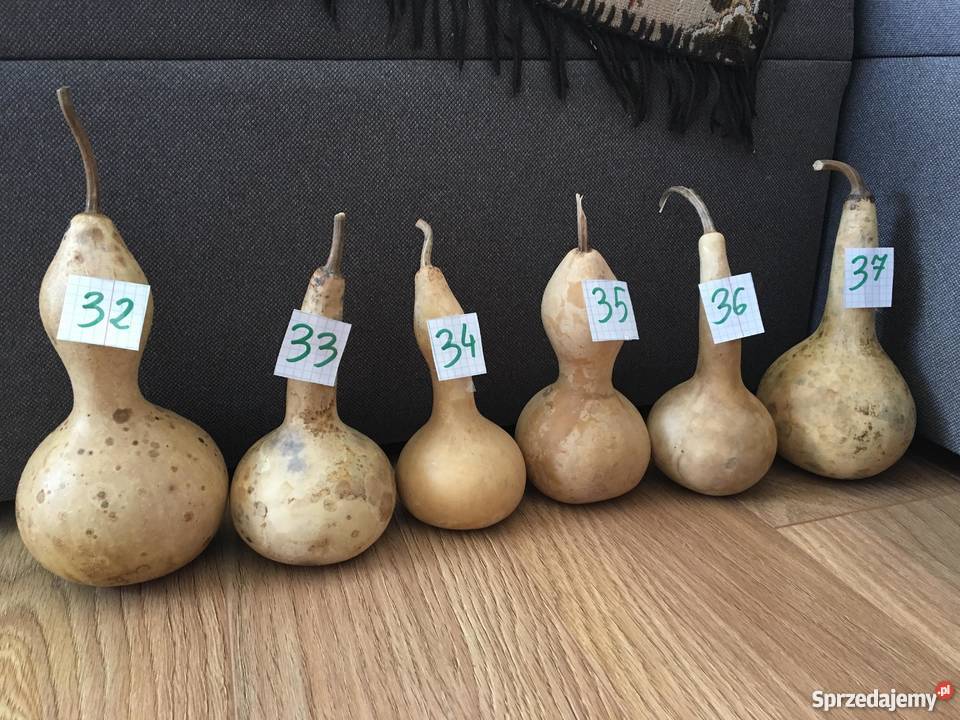 Suche tykwy z nasionami podlaskie Augustów