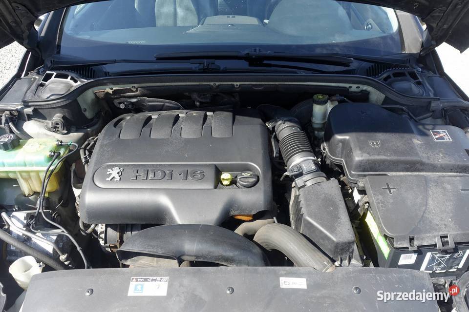 Peugeot 407 20HDI 136 Zero korozji Skóra światła przeciwmgielne Buczkowice sprzedam