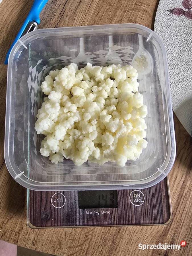 Grzybek tybetański 140g Lubliniec