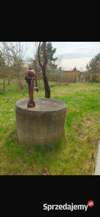 Działka rekreacyjna ROD Zalesie Opole 25m Sprzedaż sprzedam