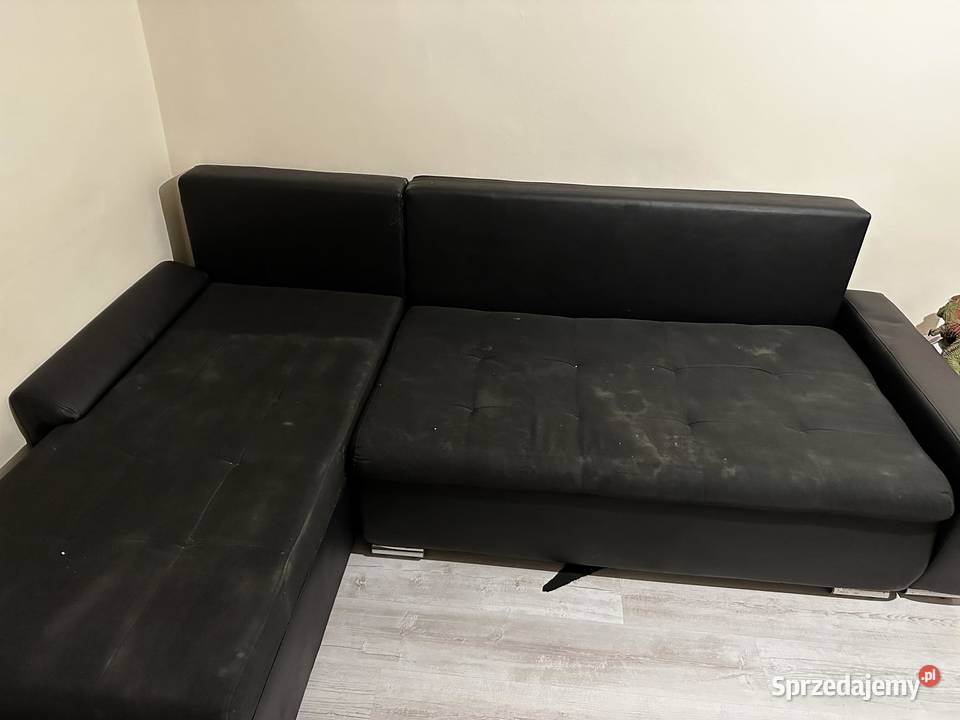 Naroznik śląskie Racibórz