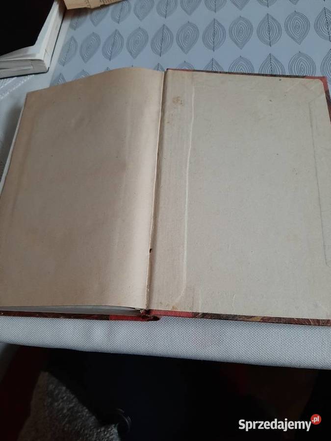 Kurs literatury polskiej WłNehring 1866 r Stronie Śląskie sprzedam