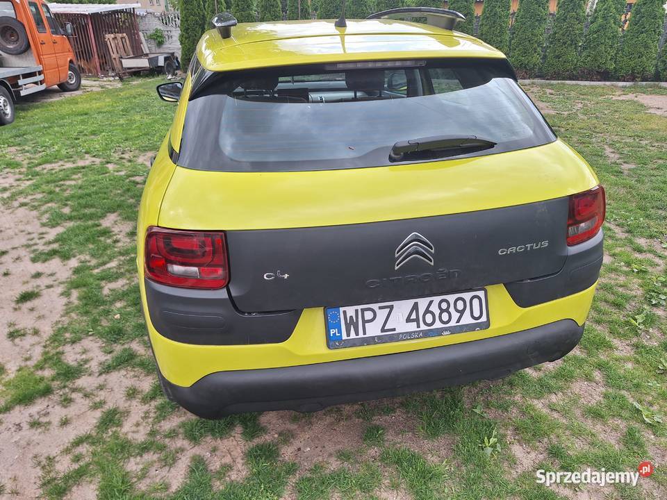 CITROEN C4 CACTUS BENZYNKA 149000 nieuszkodzony Ciechanowiec