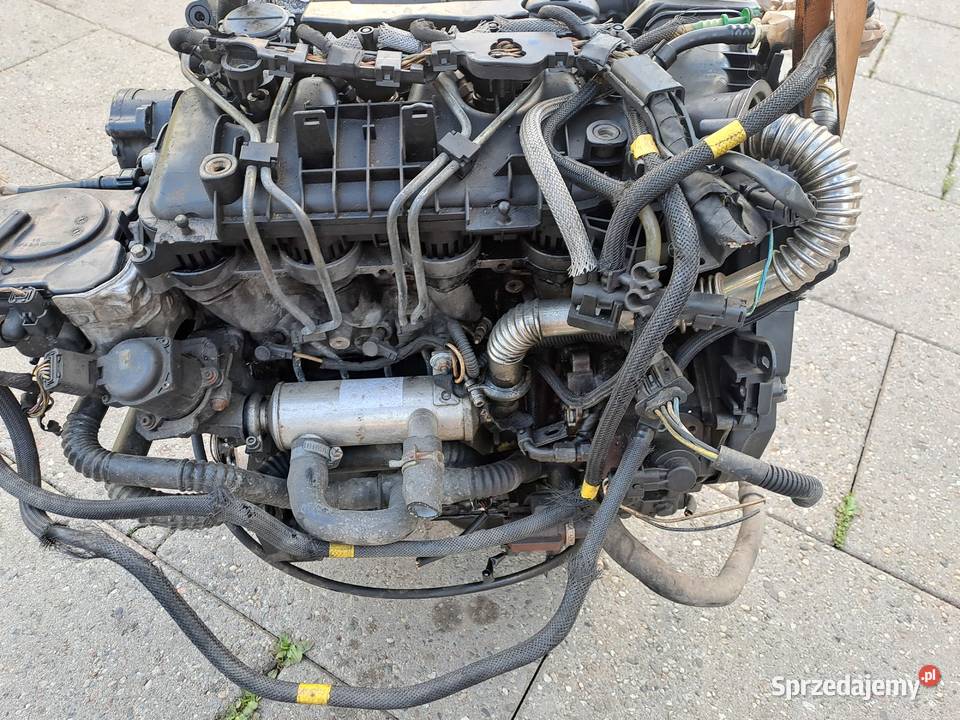 Citroen Peugeot Ford 16 HDi 109 silnik kompletny Jastrzębie-Zdrój
