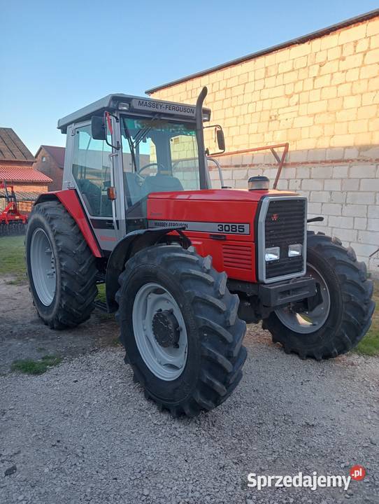 Massey Ferguson 3085 łódzkie Piotrków Trybunalski