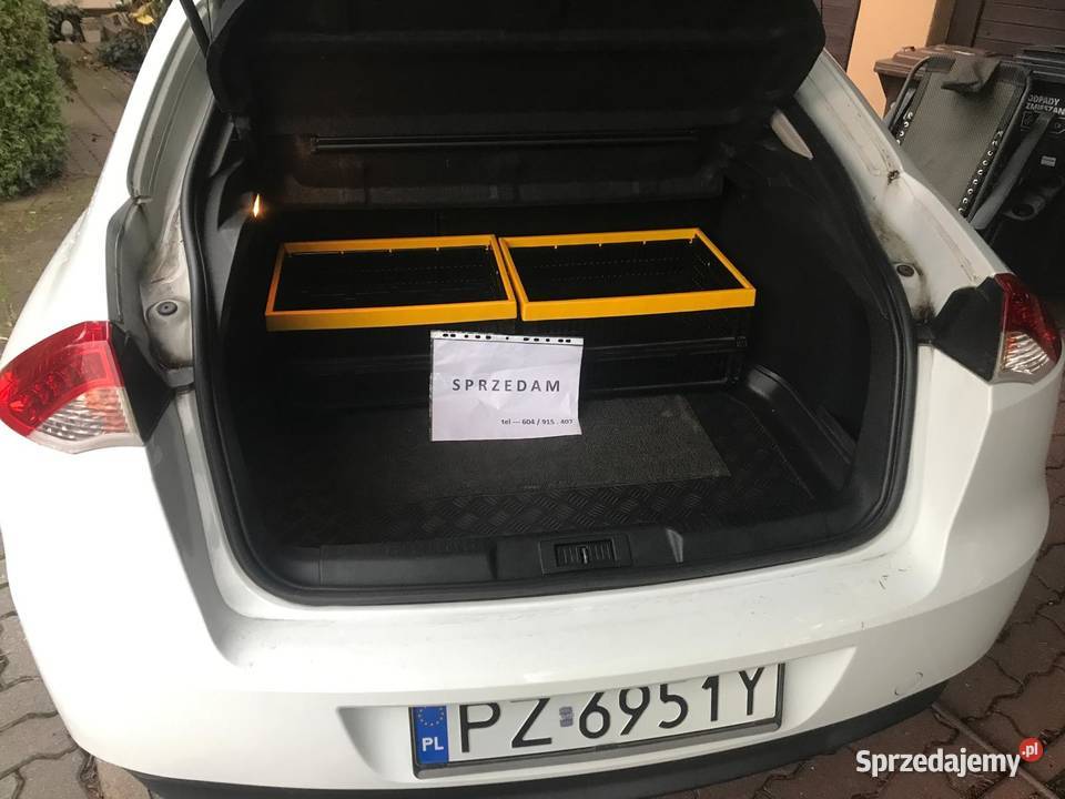 Renault Laguna 3 Laguna III właściciel Laguna Swarzędz