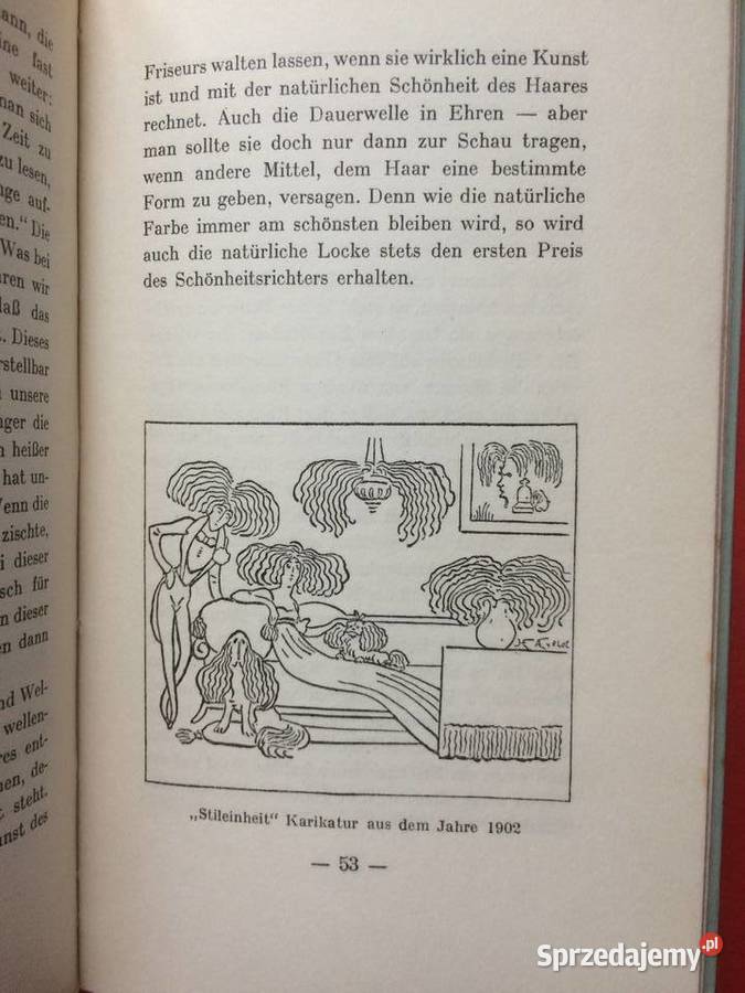 3179 Nauka O Włosach Szczecin