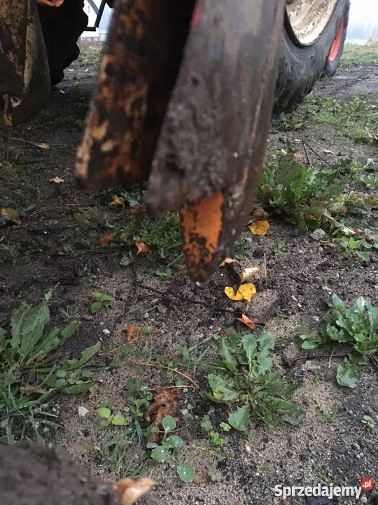 Siewnik Amazone D4 3m Mikstat sprzedam