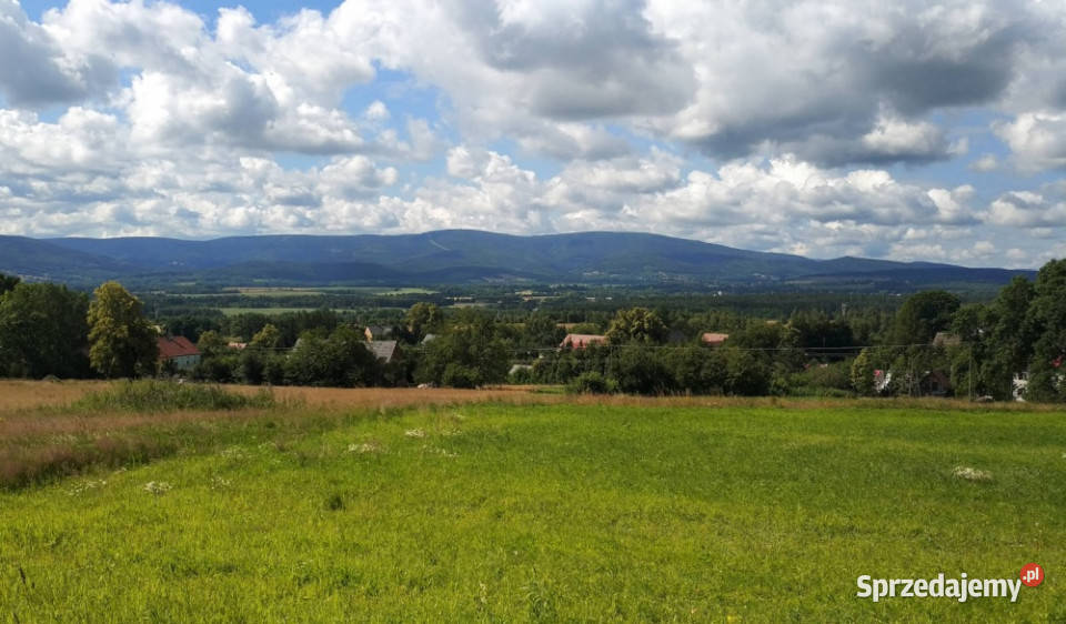 Działka 2200 m z mediami granicy Giebułtów