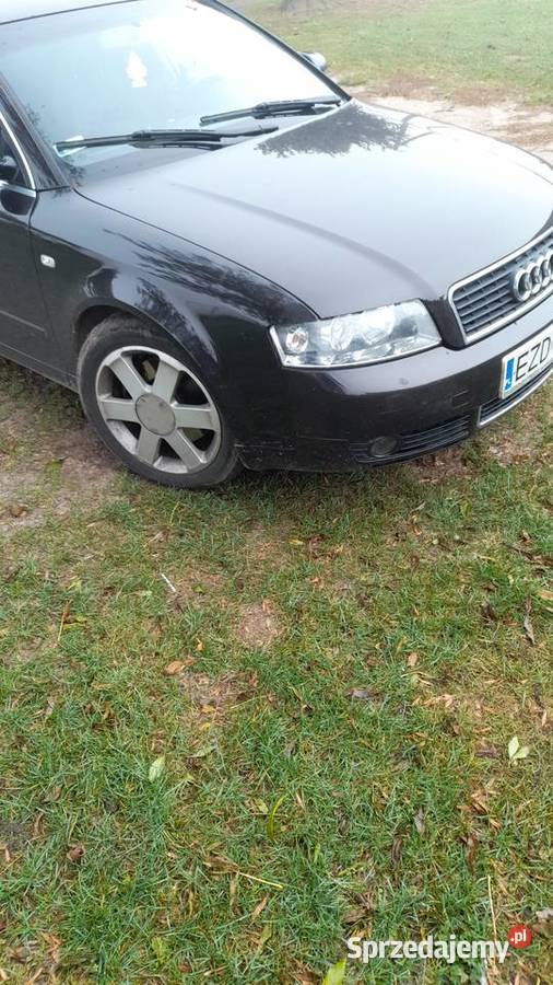 Audi a4 b6 Rok produkcji 2003 Zadzim sprzedam