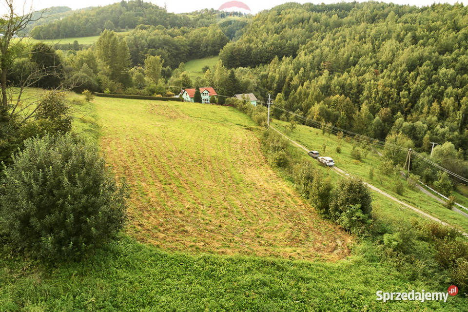 Działka budowlana 43 ary Ochotnica Dolna 30m Sprzedaż