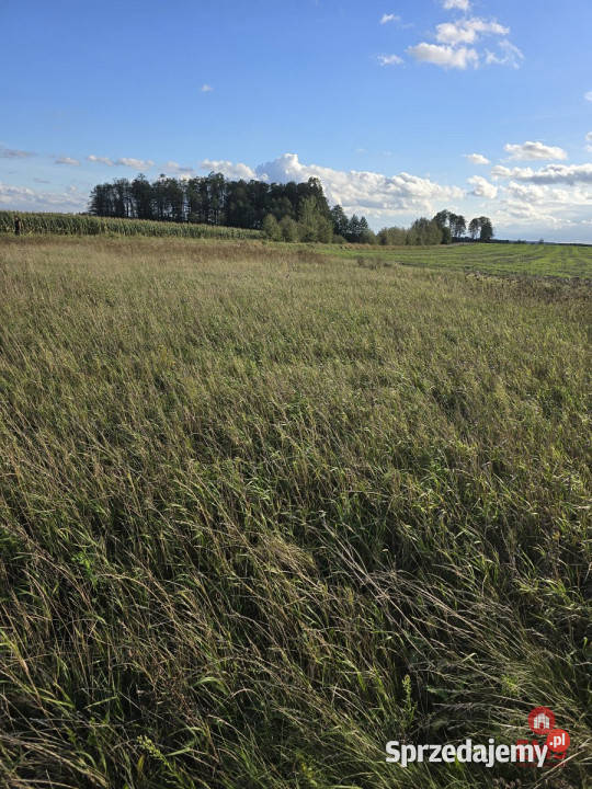 Sprzedaż działki 1700m2 Pajewo sprzedam