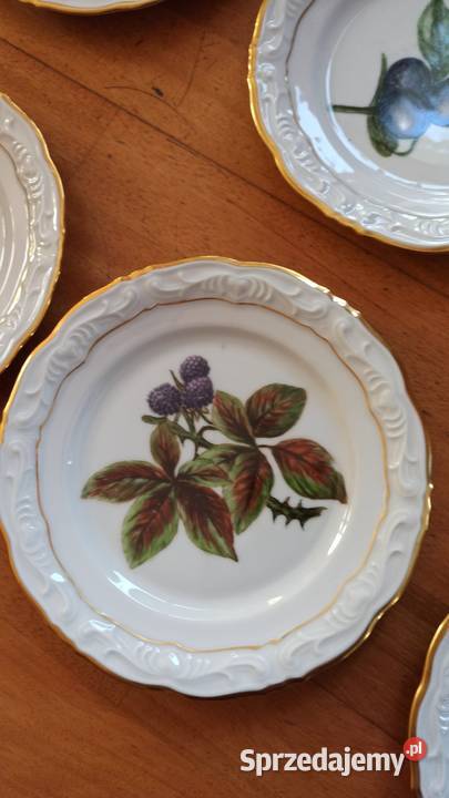 Przepiękne ręcznie malowane owoce na białej Gdańsk