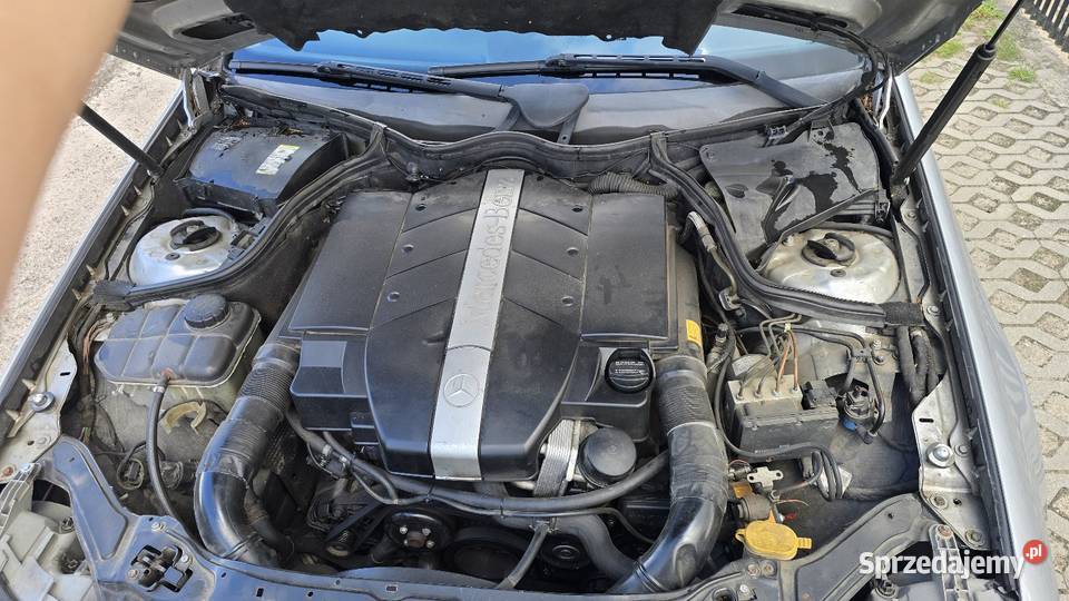 Mercedes CLK Osowiec
