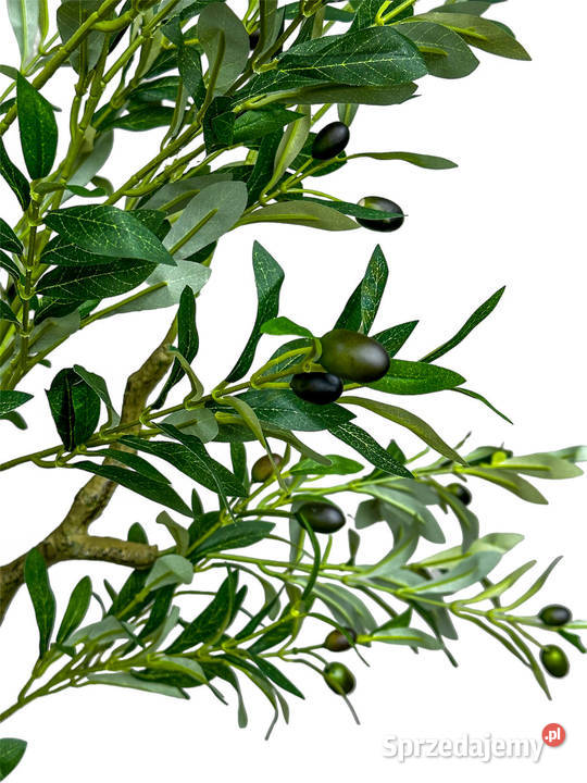 Sztuczne Drzewko Sztuczna Oliwka 180 190 zielony Sztuczne kwiaty i owoce Gliwice sprzedam