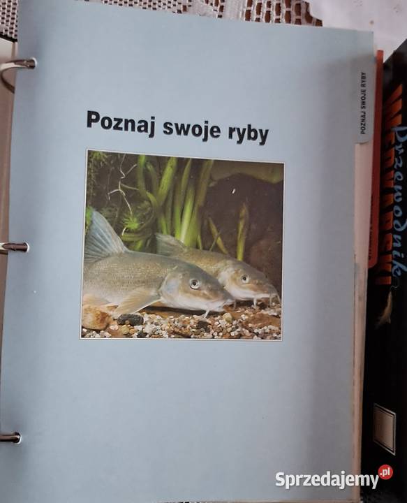 Przewidnik wędkarski podkarpackie Przemyśl sprzedam