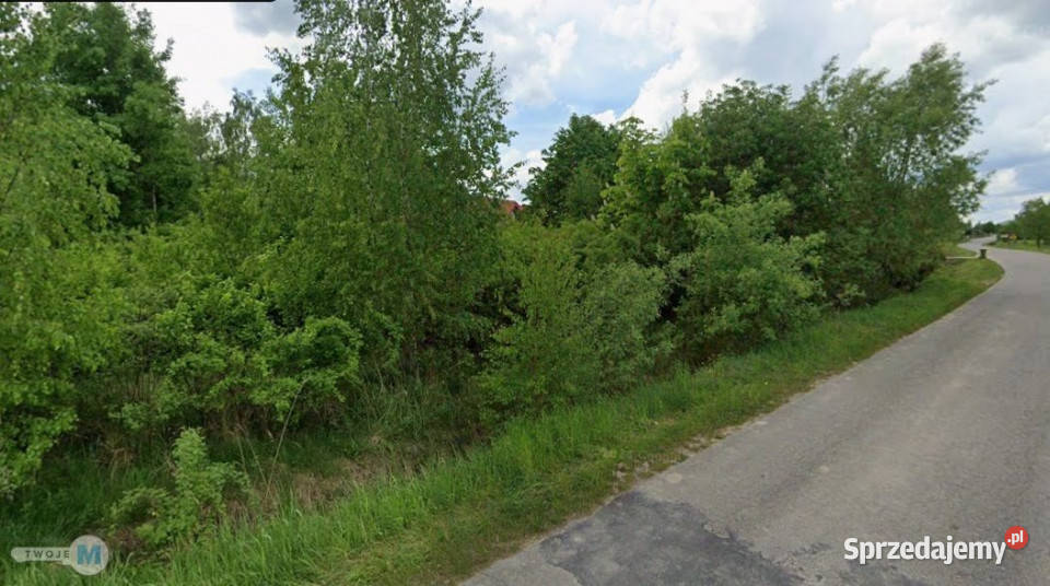 Działka Raków 9100m2 20m sprzedam