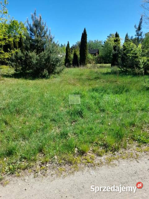 sprzedaży działki 2200m2 Czarnów Piaskowa Sprzedaż