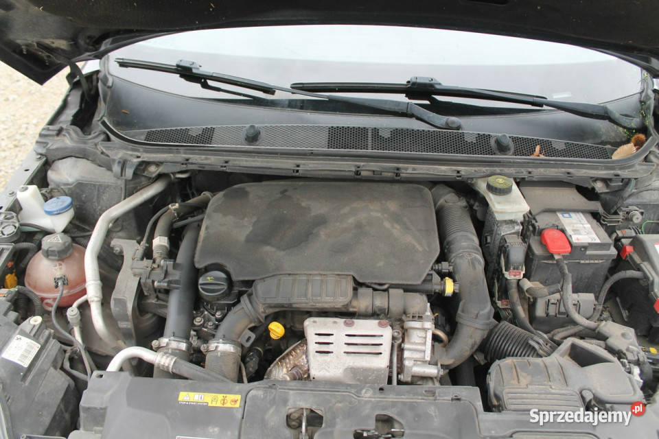 Peugeot 308 T9 20142021 308 wielkopolskie Ostrów Wielkopolski