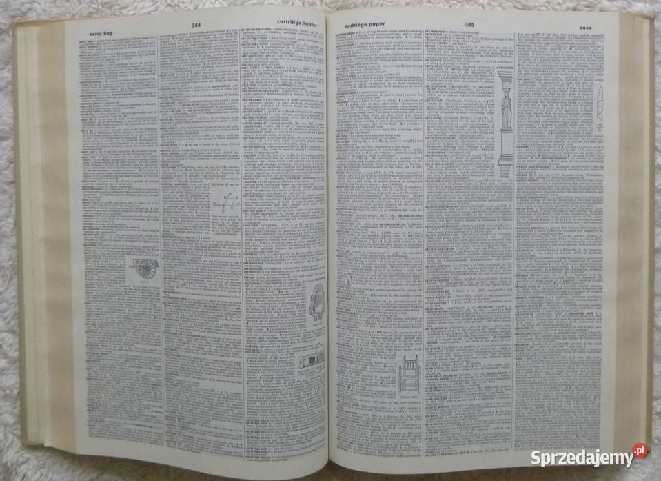 Websters Third International Dictionary t 13
