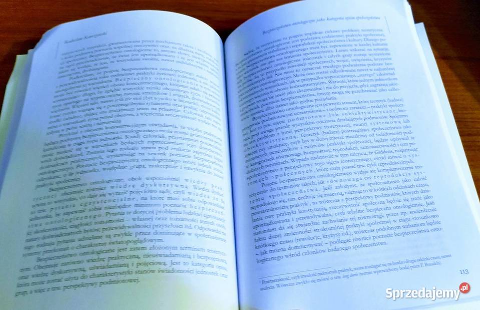 Bezpieczeństwo ontologiczne zbiór rozpraw Artur pomorskie Gdańsk