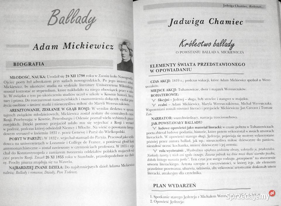 Powtórka z literatury kl 6 Szkoła podstawowa lubelskie Chełm sprzedam