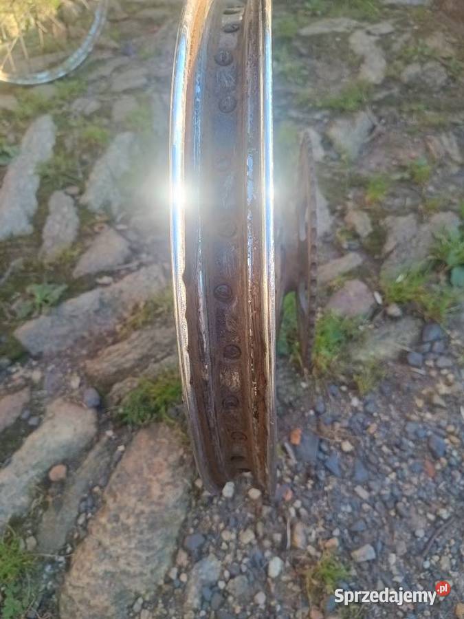 Romet ogar koło 17 Leśna