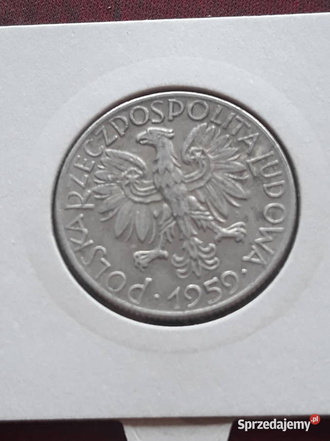 5 Rybak 1959 r Skrętka Piękna J Konin