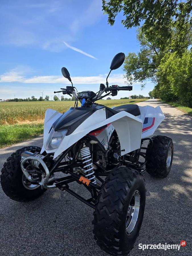 Quad Egl Mad 250cc kat B 2014r ciecz duża rama elektryczny starter Kruszwica sprzedam