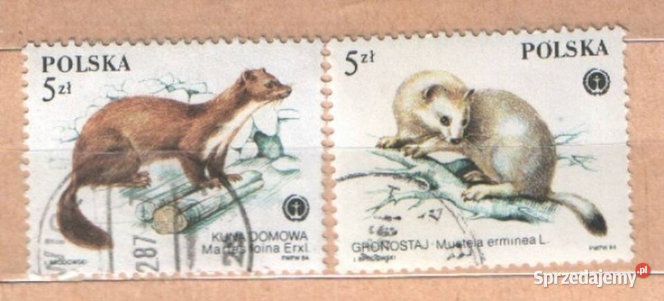 Zn Fi Wykaz zn w opisie kas z 1984 Gliwice sprzedam