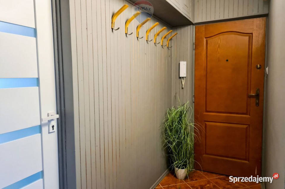 Trzypokojowe mieszkanie os Wichrowe Wzgórze wielkopolskie Poznań