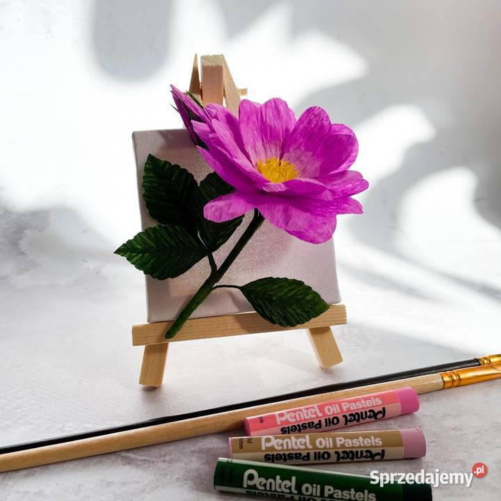 Kwiatek na sztaludze Zielona Góra