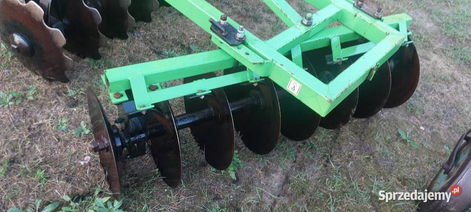 Talerzwka nieuszkodzony Kock