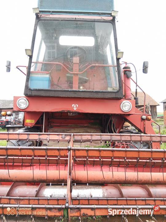 Bizon z056 Stary Dzierzgoń