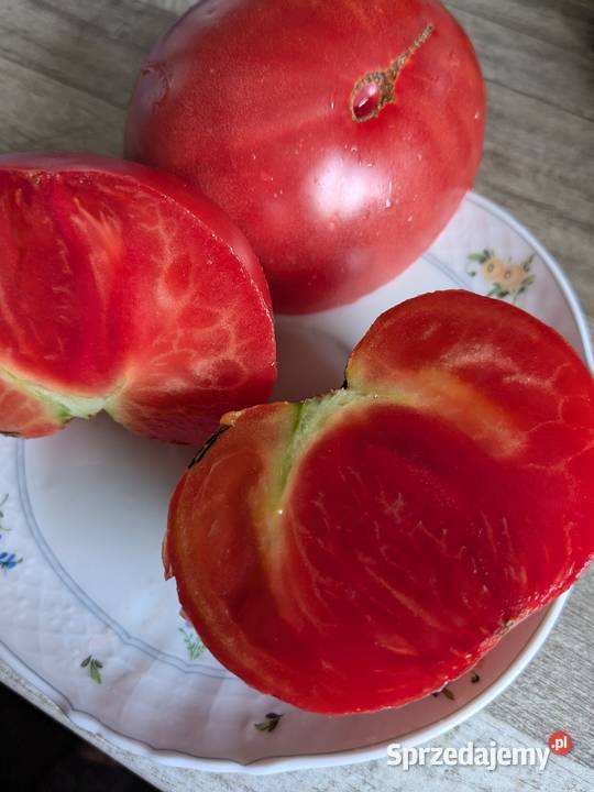 Stara Babcina Malinówka 50 lat Pokarm rybek Nasiona Kraków
