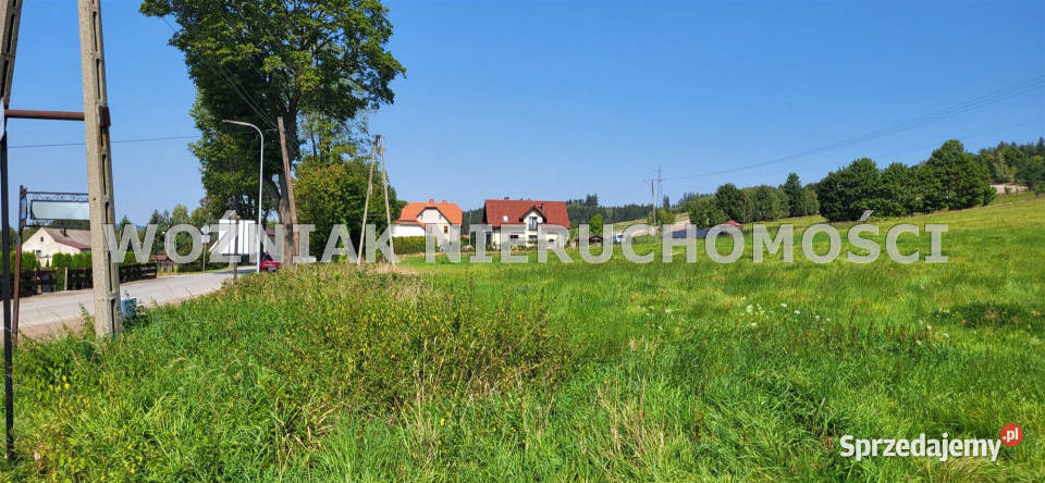 Do sprzedaży działka 3109m2 Grzędy Górne