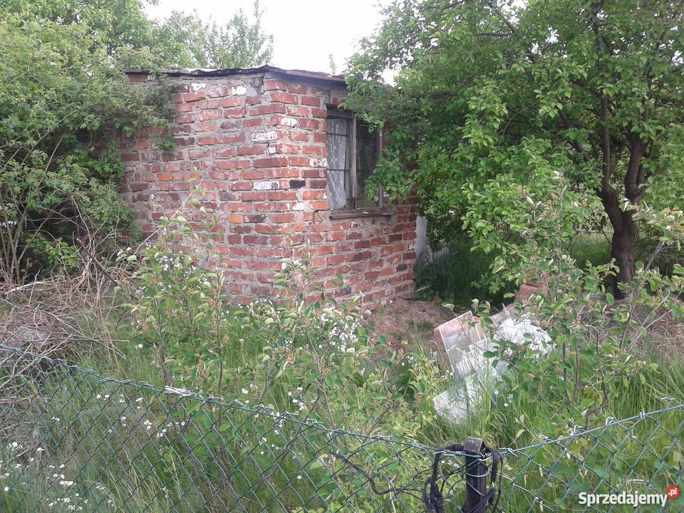 Ogrody Działkowe Przylesie 500m2 Sulechów