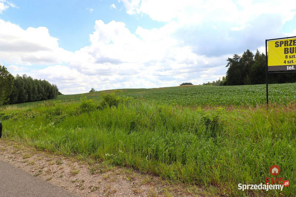 Grunt 9000m2 Rożyńsk Wielki 5zł/m2