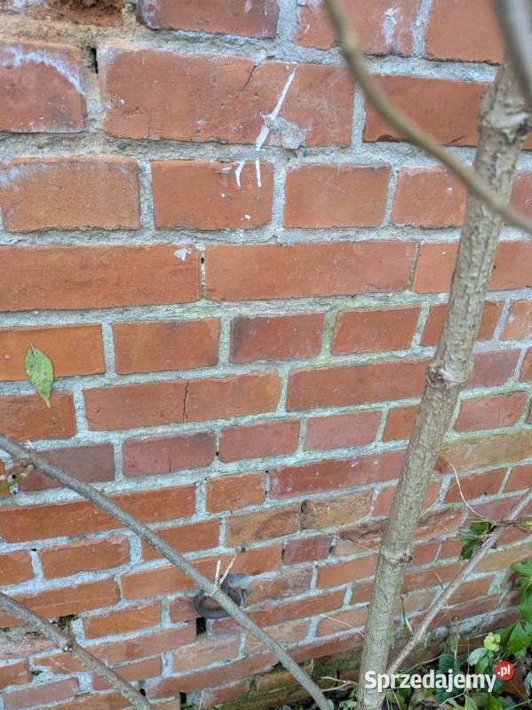 Sprzedam cegłę z rozbiórki fomu Budowa Elbląg