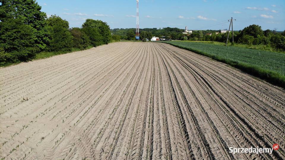 Inwestycyjna działka w Iłży mazowieckie Iłża sprzedam