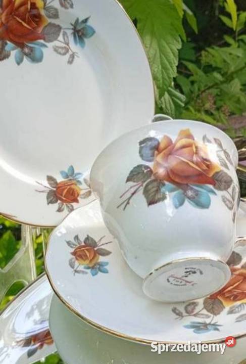 Porcelana zdobiona motywem róż łódzkie Pabianice