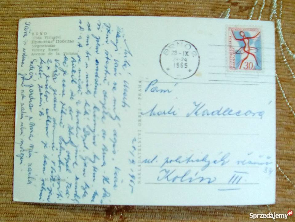 BRNO MIASTO NA MORAWACH U ZBIEGU RZEK SVRATKI I Piszczac sprzedam