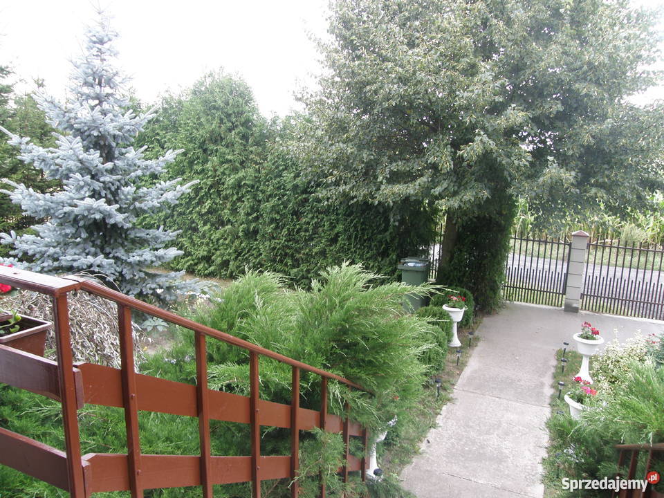 dom na wsi lubelskie sprzedam