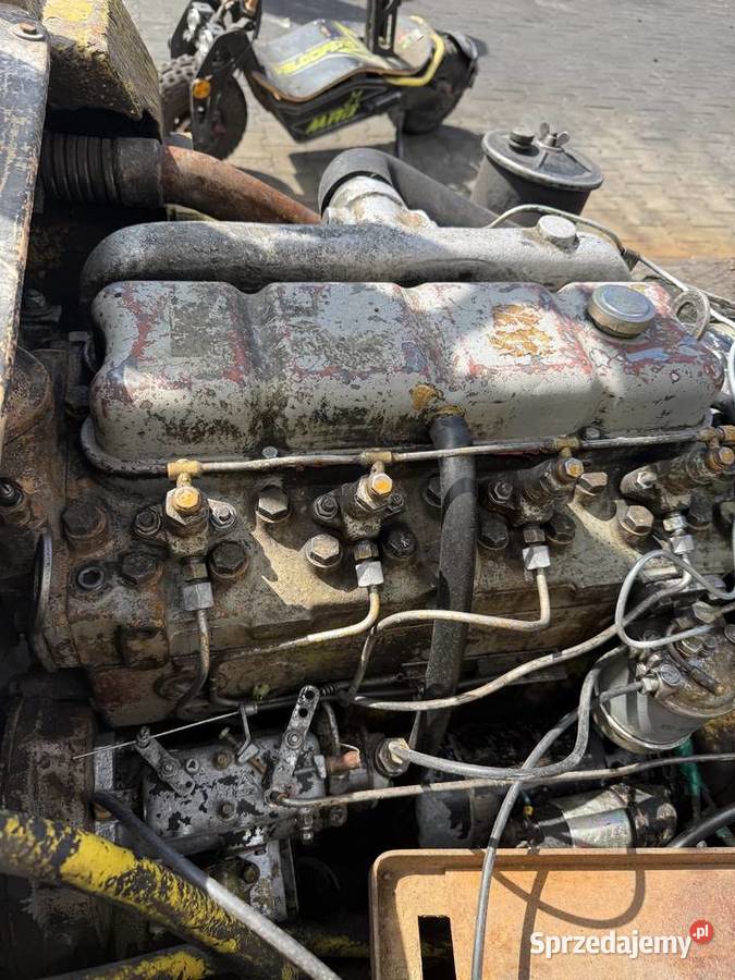 silnik 4cylindrowy Perkins D3900 Bulgar BUŁGAR Działoszyn sprzedam