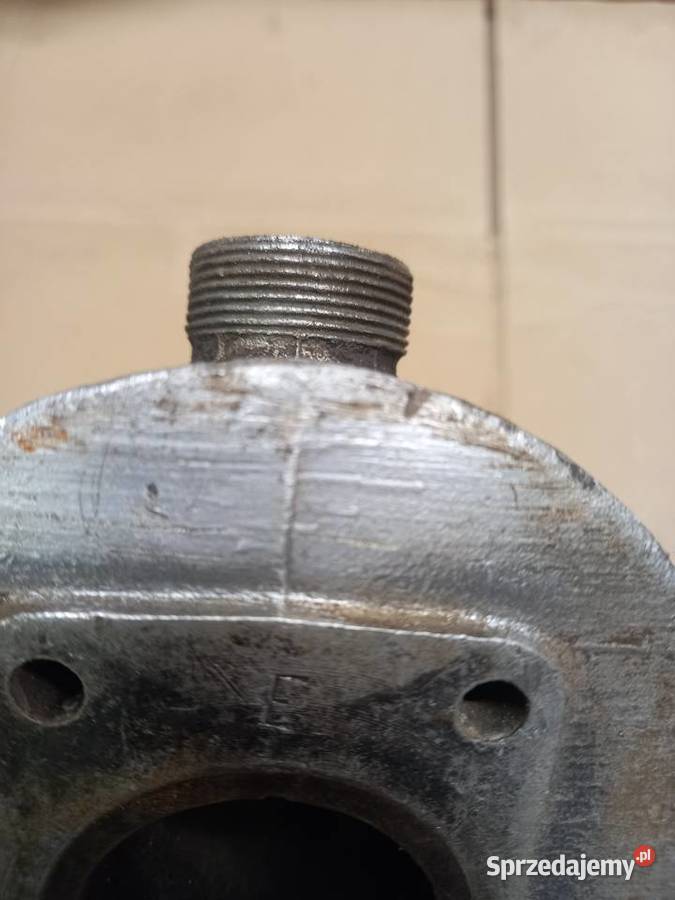 Cylinder komar sztywniak mazowieckie Sokołów Podlaski