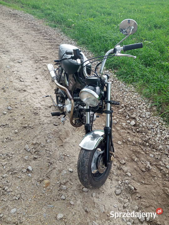 TNT city 50 taki Honda Dax Borek
