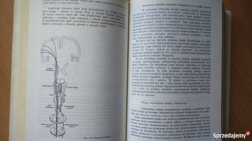 Biologiczne Mechanizmy Zachowania PWN