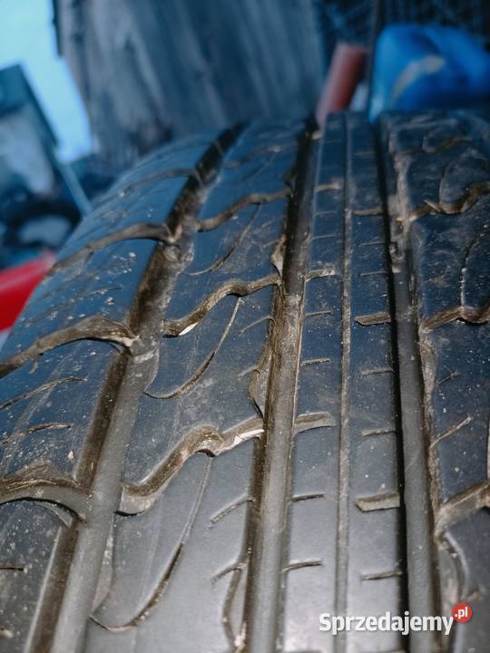 Alufelgi raf4 Orzełek