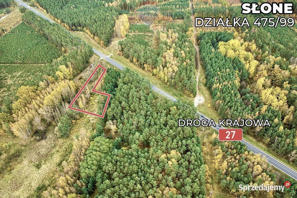 Na sprzedaż działka drodze 27 z MPZG asfalt Słone sprzedam