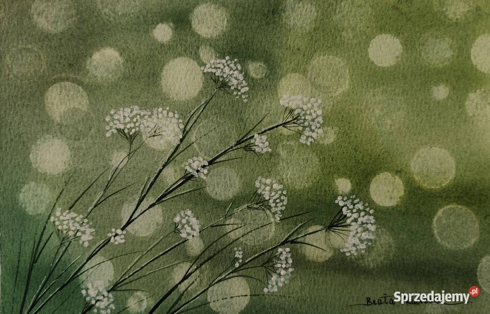 Akwarela Akwarelka Obraz Subtelność Autorska wielkopolskie Poznań